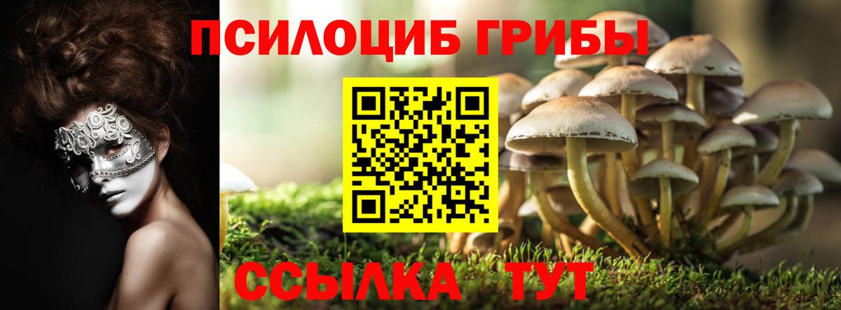 Хасавюрт  Псилоцибиновые грибы прущие грибы  Вход с VPN 